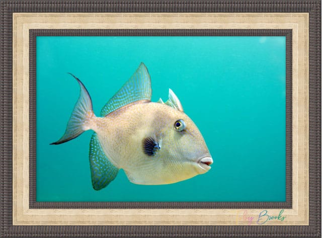 From 0.3 Megapixels to Masterpieces: What 24 Years Behind the Lens Teaches You.