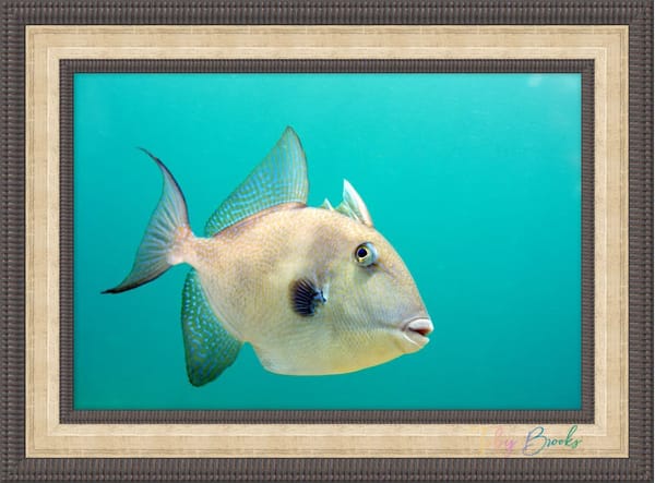 From 0.3 Megapixels to Masterpieces: What 24 Years Behind the Lens Teaches You.